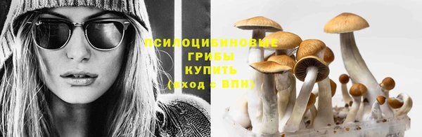 альфа пвп Волосово